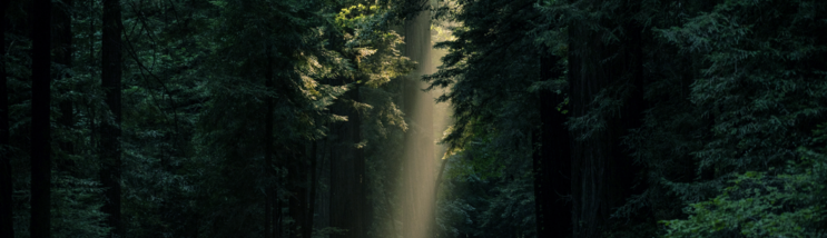 Good klimatnews #2