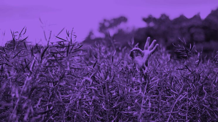 Vinnare i Sustainable Brand Index 2021
