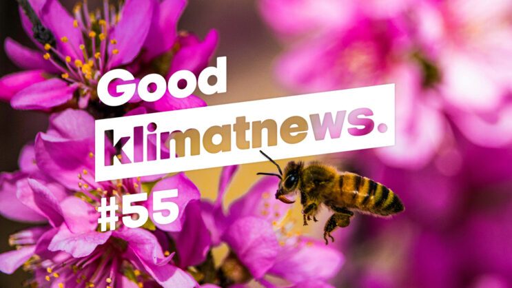 Good Klimatnews #55.