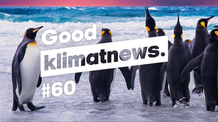 Good klimatnews #60.