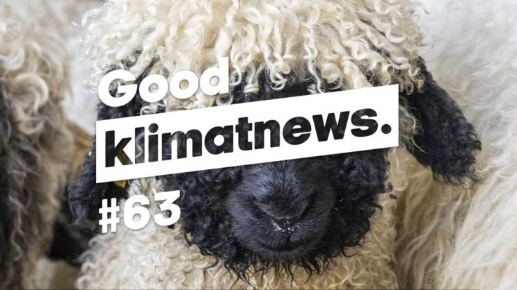 Good klimatnews #63.